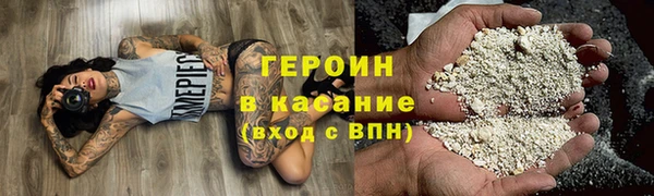 прущие грибы Вяземский