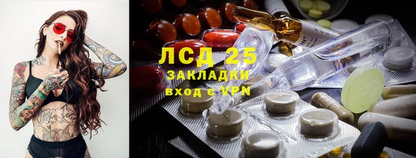 спайс Няндома