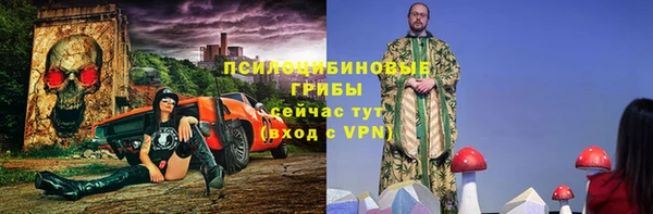 прущие грибы Вяземский