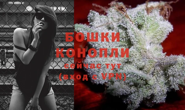 бошки Нягань