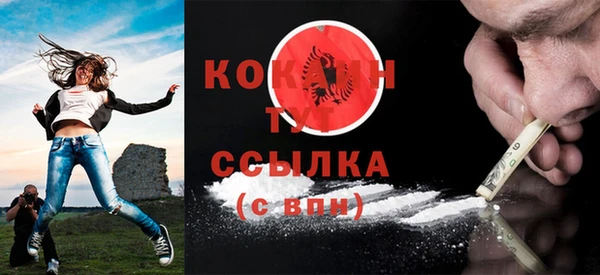 трава Новозыбков
