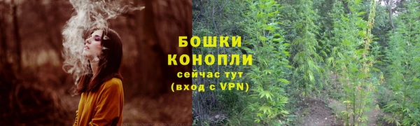 трава Нязепетровск