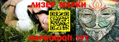 a pvp Волгодонск