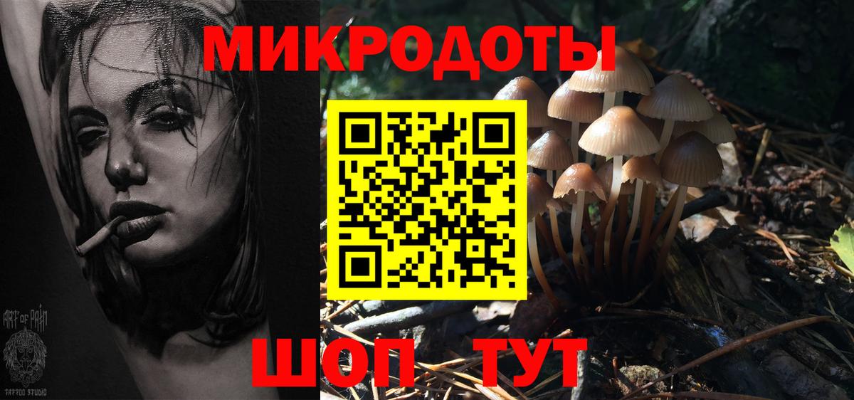 Псилоцибиновые грибы Psilocybe  купить наркотик  Ливны 